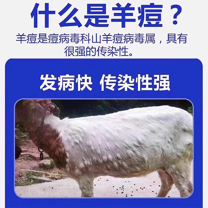 25年必买!羊痘特效药牛羊结节病专用脓包疙瘩结痂克星「康一针灵」真实测评-狗益生菌-淘宝好物网