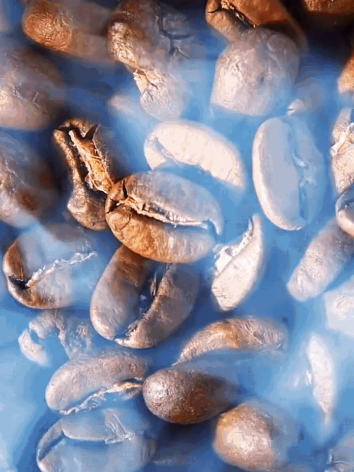 8b21082da768d2aab9eb2bd8f586bee8.gif