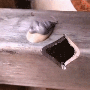 09.gif