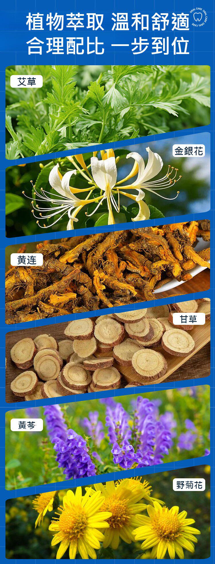 详情_016.jpg