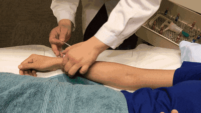 17745198890e6023.gif