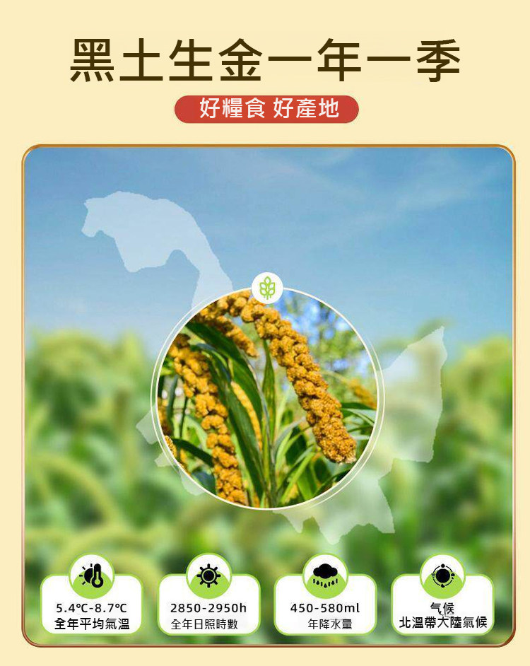 详情14.jpg