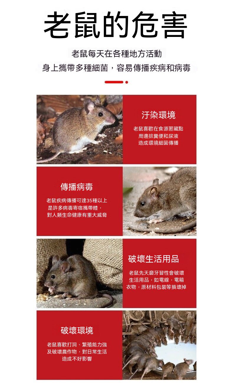 O1CN01c6ZmQ829V1kh4cZsa_2211238958072-0-cib.jpg