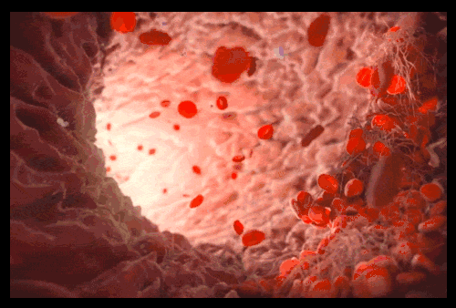 详情11.gif