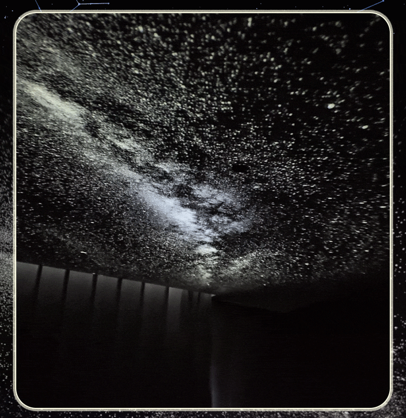 029.gif