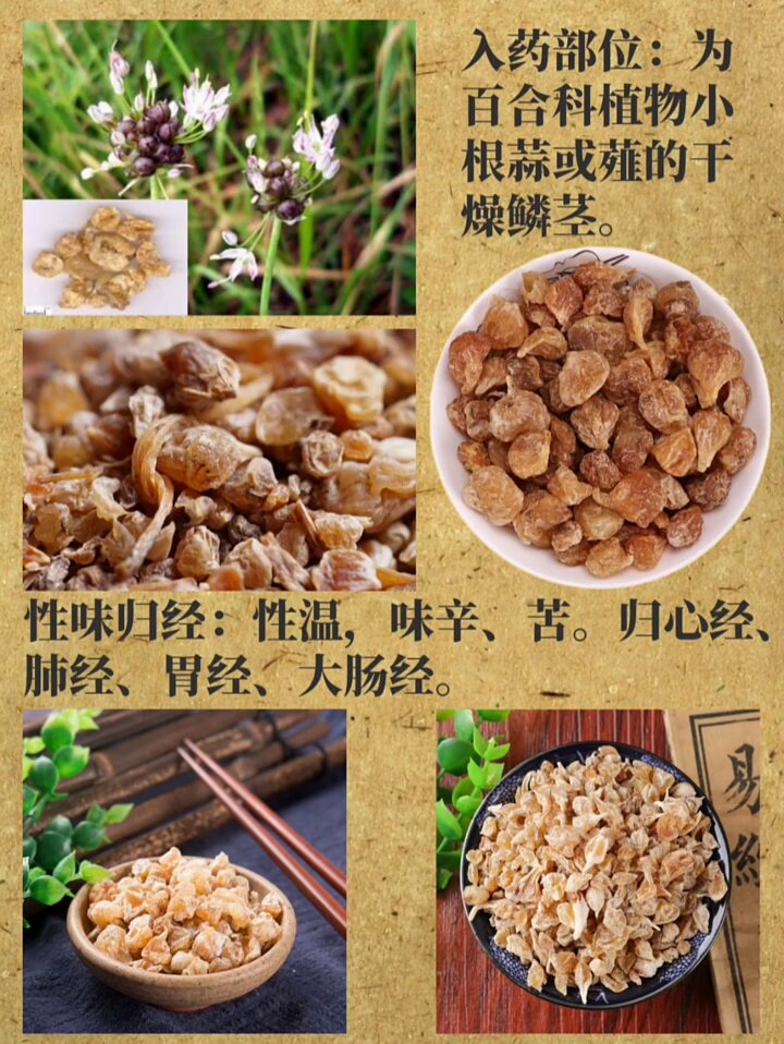 瓜蒌根市场上多少钱一斤?揭秘中药材薤白的产地实情 - 种草笔记 - 淘江湖
