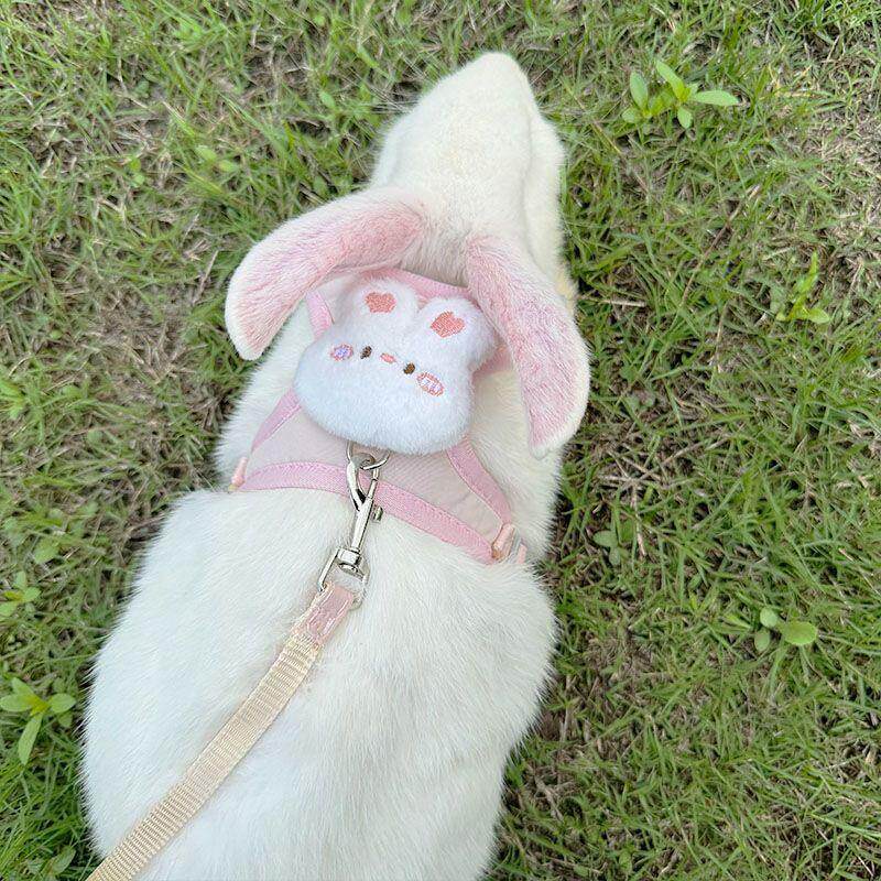 🐾 宠物必备!兔兔炼子遛兔绳,遛兔更安心 🌸-兔绳-淘宝好物网
