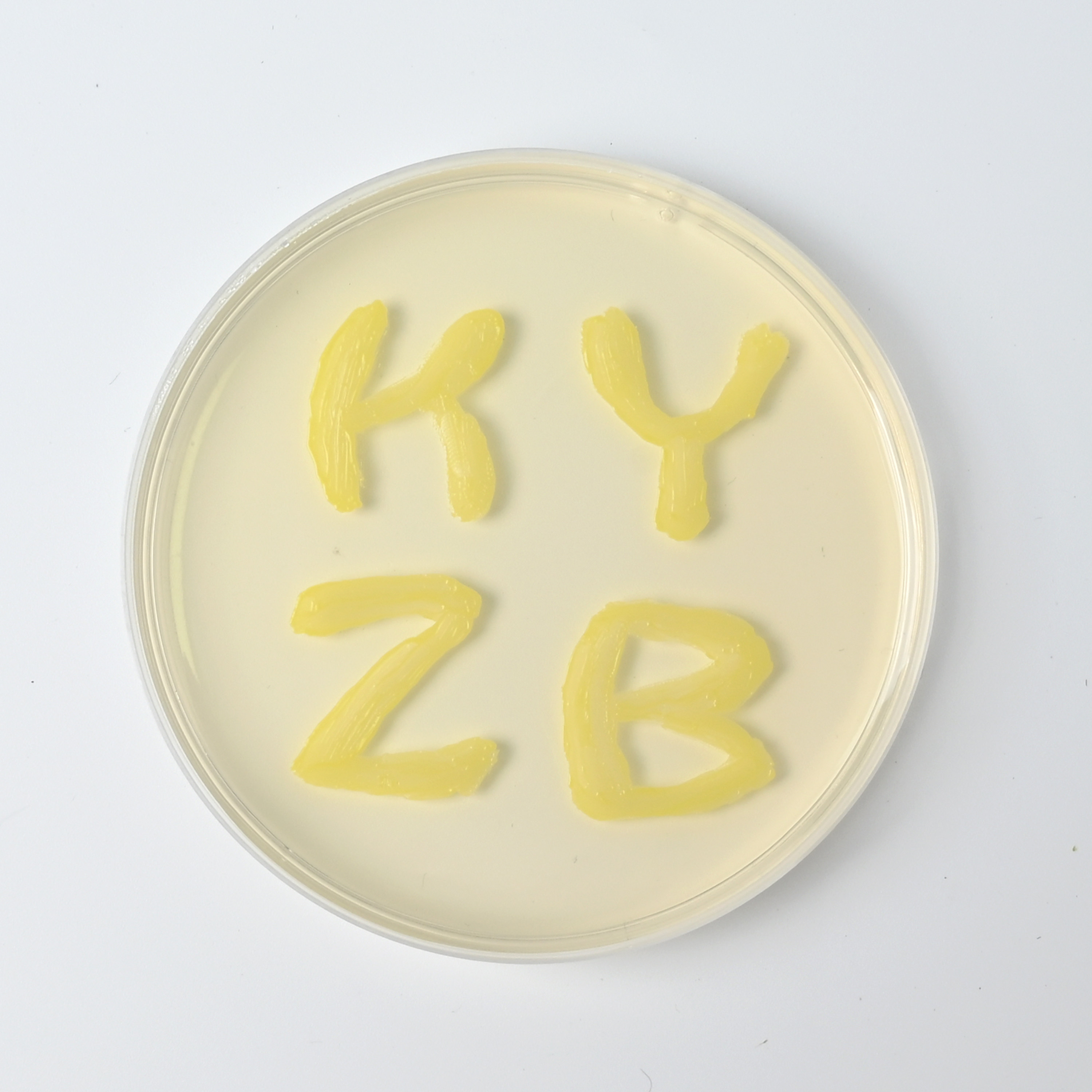 科研周边礼品店的LOGO