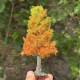 Autumn Landscape Tree Model Tree with Autumn Leaves, Red Wire Tree for Anime Shooting, Dollhouse Figurine, Landscaping, Handmade Materials