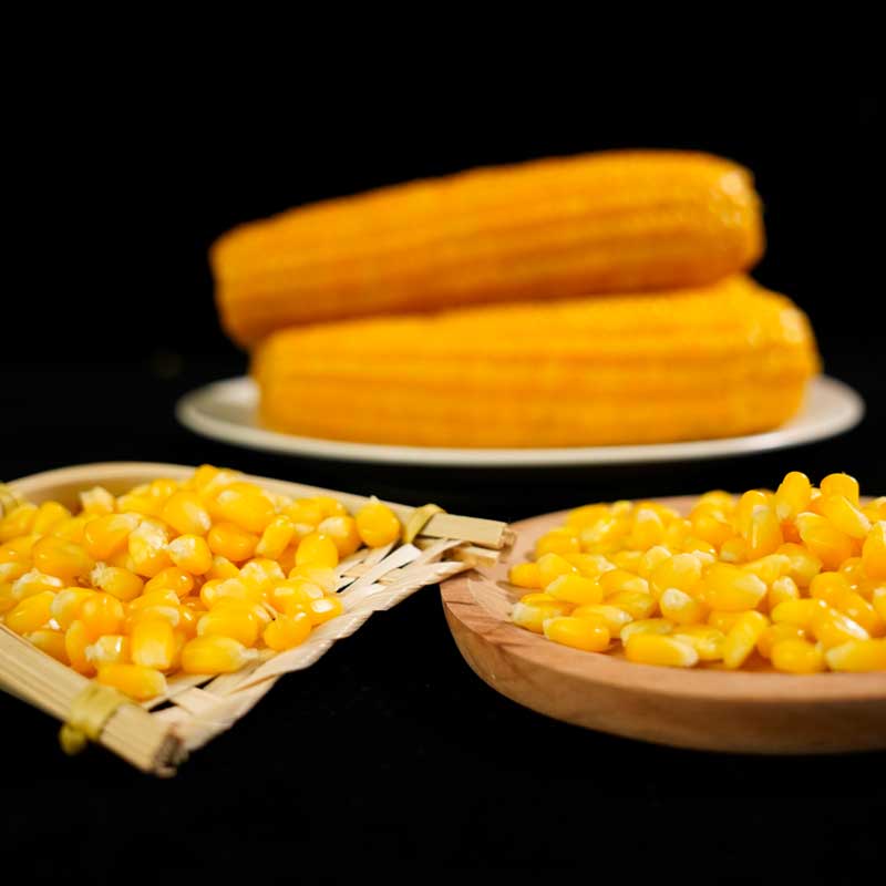 朝鲜干冰保鲜下的北极贝：寿司界的新宠