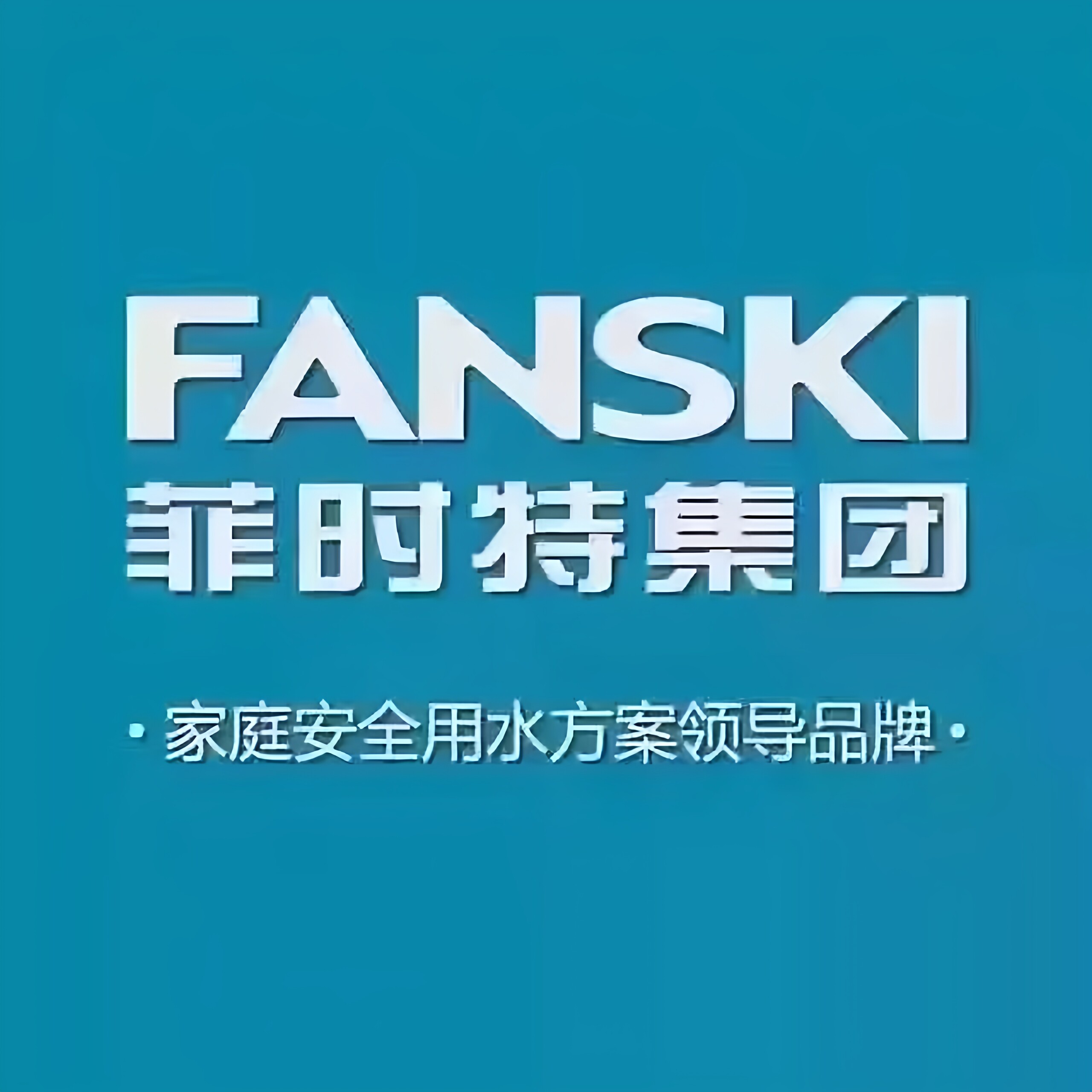 FANSKI菲时特丰正专卖店的LOGO
