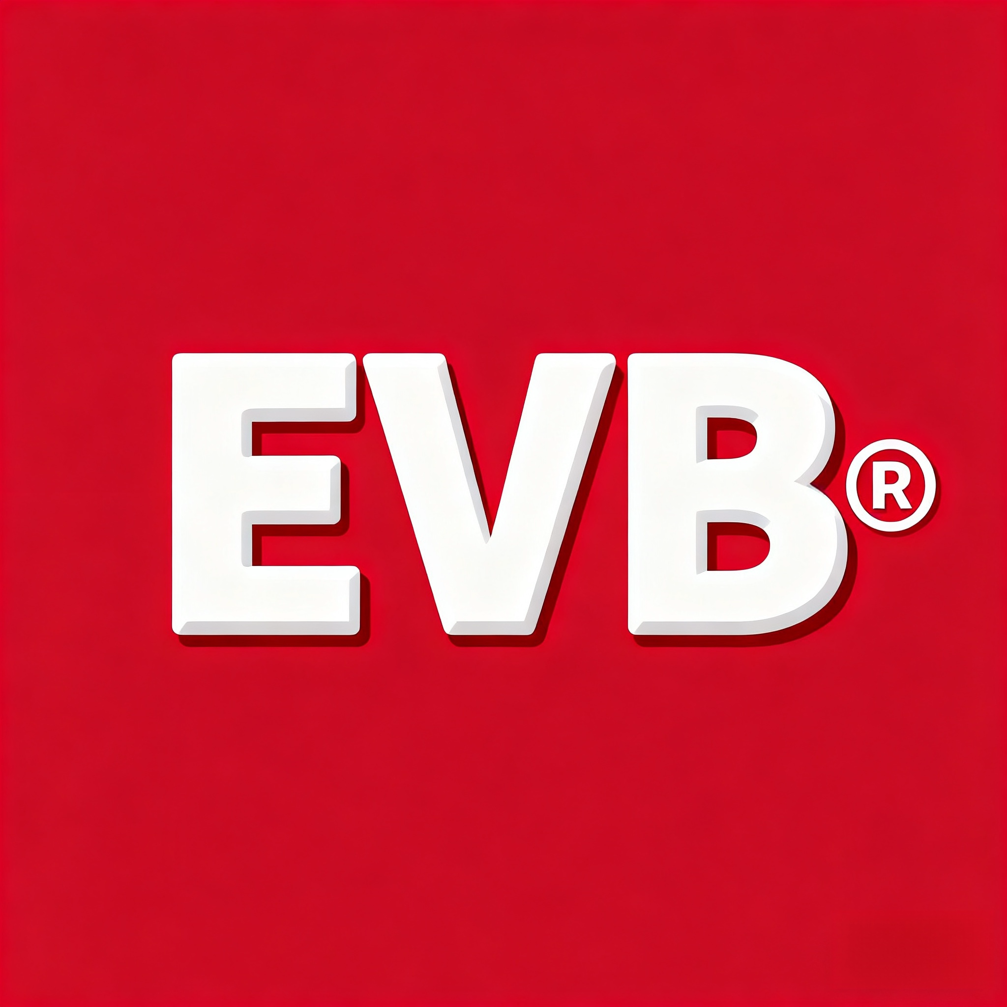 EVB旗舰店的LOGO