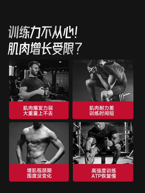 Foyes Zinc Magnesium Creatine Monohydrate Powder High Purity Strength and Endurance Sports Fitness Supplement Official Flagship Store