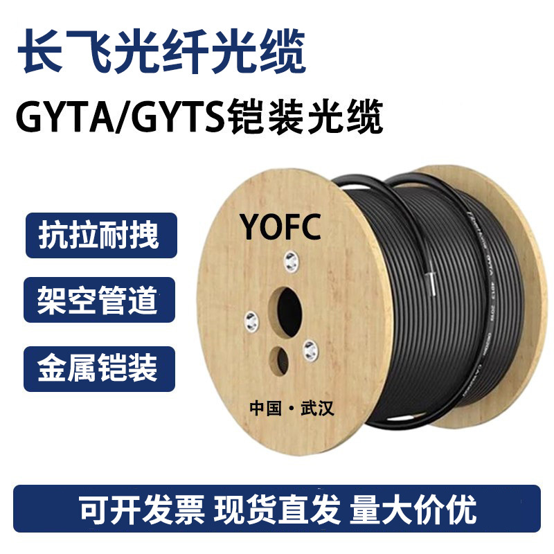 Longfei Fiber Optic Gyta/Gyts Outdoor Single Mode Armored Fiber Optic Cable 4 6 8 12 24 48 96 144 Core Fiber Optic