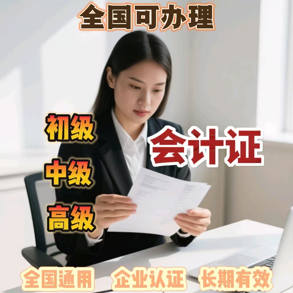 正保2025年初级会计实务应试指南：通往梦想证书的阶梯