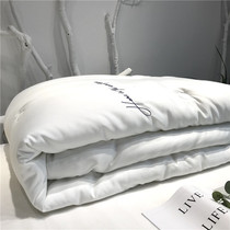 Five star hotel Soft glutinous pituitary cloud soft quilted with super soft quilt core warm thickened spring autumn quilted by a single double in winter