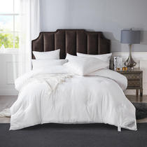 Single shot not only for members cotton soybean fiber spring and autumn summer cool air conditioning single double cotton winter quilt