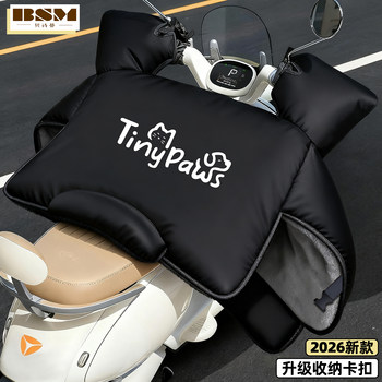 Newly upgraded storage buckle windshield electric vehicle