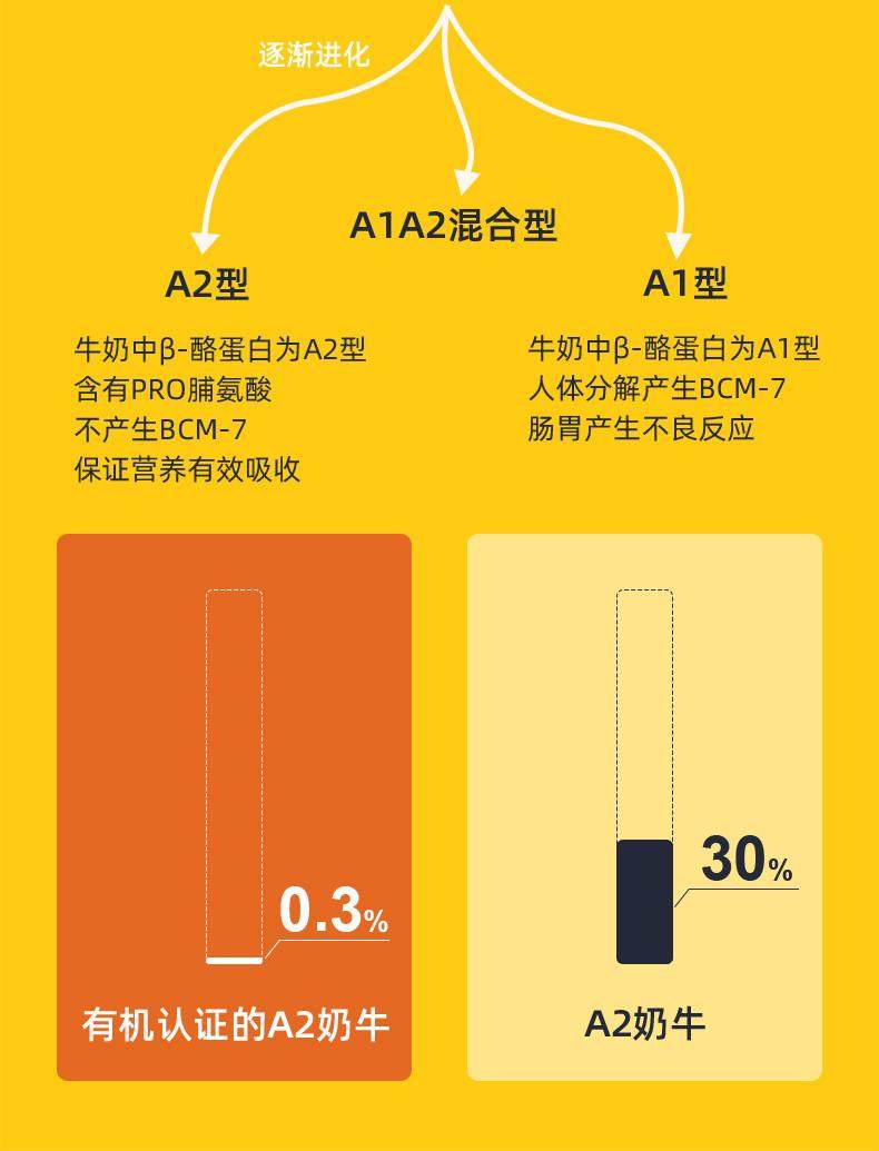 安享好物 安享A级纯奶-乐荷有机牛奶  