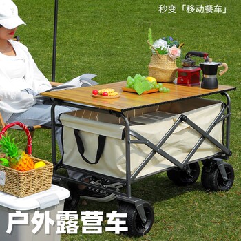 Baby camping car outdoor equipment supplies t stroller children's travel self-driving trunk mobile car picnic pusher