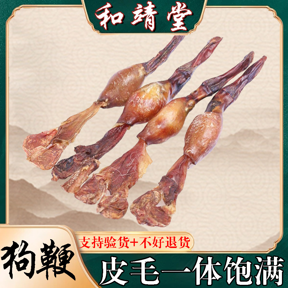 黄狗鞭正品黄狗肾全套食用泡酒料中药材鞭干35克整根狗鞭可打粉