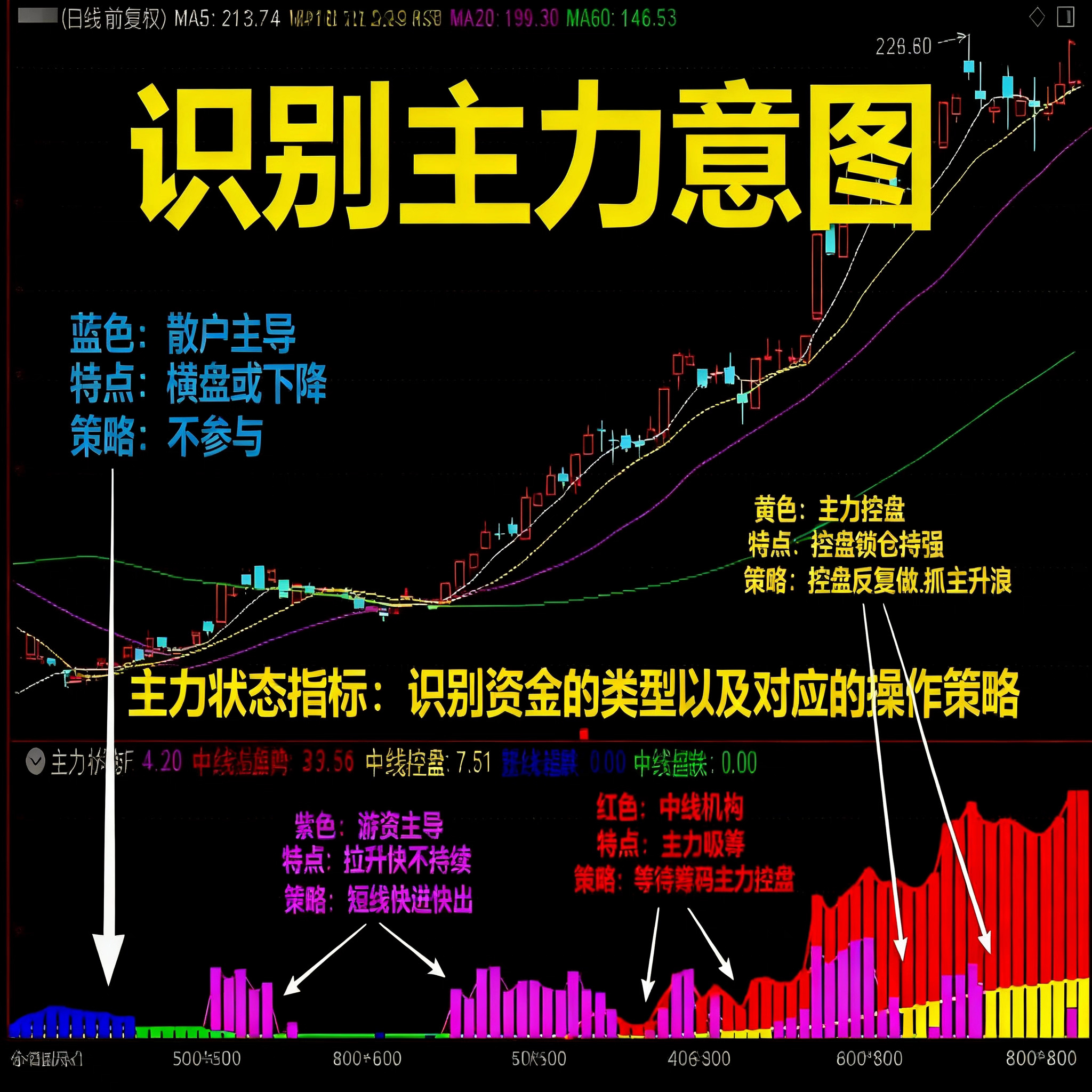 三色资金信号：解锁庄家控盘的秘密_扫地机器人_淘宝数码网
