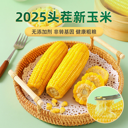 220g*8根12.9！康宇田源糯黄玉米棒