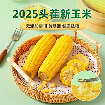 220g*8根12.9！康宇田源糯黄玉米棒