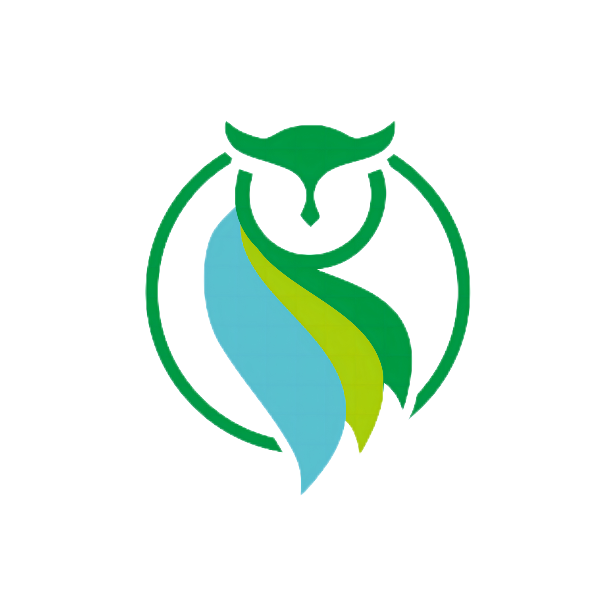 OWLSMART旗舰店的LOGO