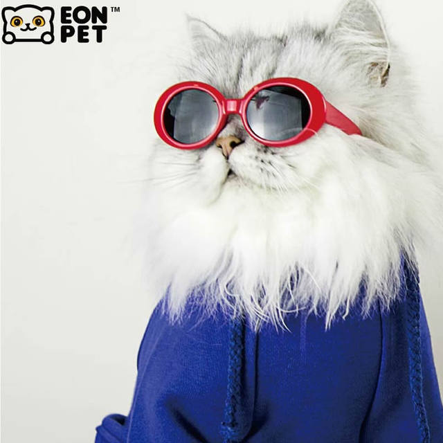 Cute Canteen Eonpet Pet Cat Glasses Triangular Sunglasses Retro Frame Funny Cute Creative Photo Props