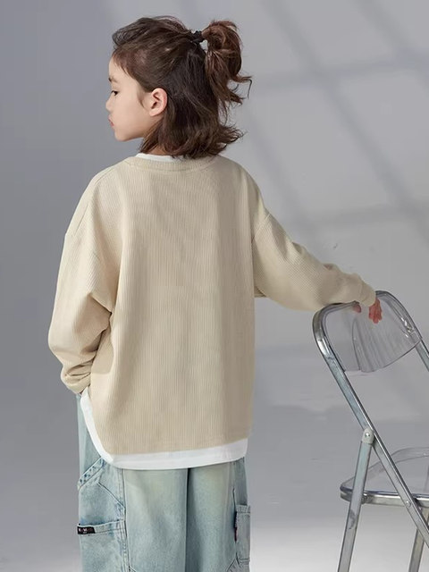 German Razt Brand Store Boys' Long-Sleeve Spring and Autumn 2026 New Children's Spring Outfit Thin Sweatshirt