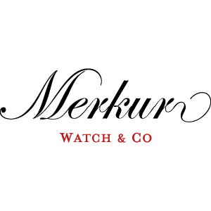 凡致手表旗舰店的LOGO