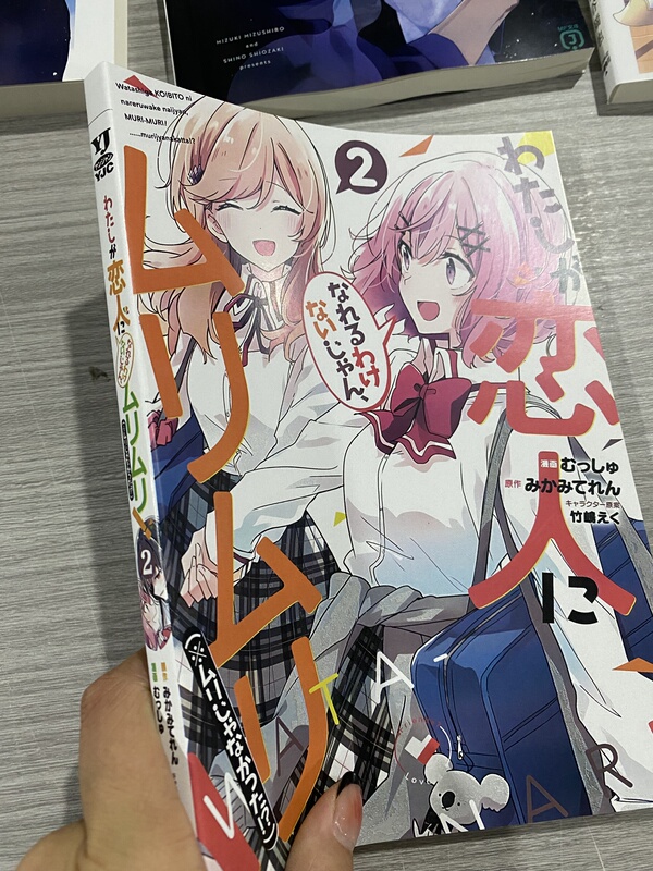 Light Novel/Manga 1-8+Ss+Short Story Collection We Can'T Be Lovers! Absolutely Not Possible (*Does It Seem Feasible?) Light Novel Series in Simplified Chinese, Total of 10 Volumes, Yuri Novels in Simplified Chinese with Illustrations, Quick Delivery.