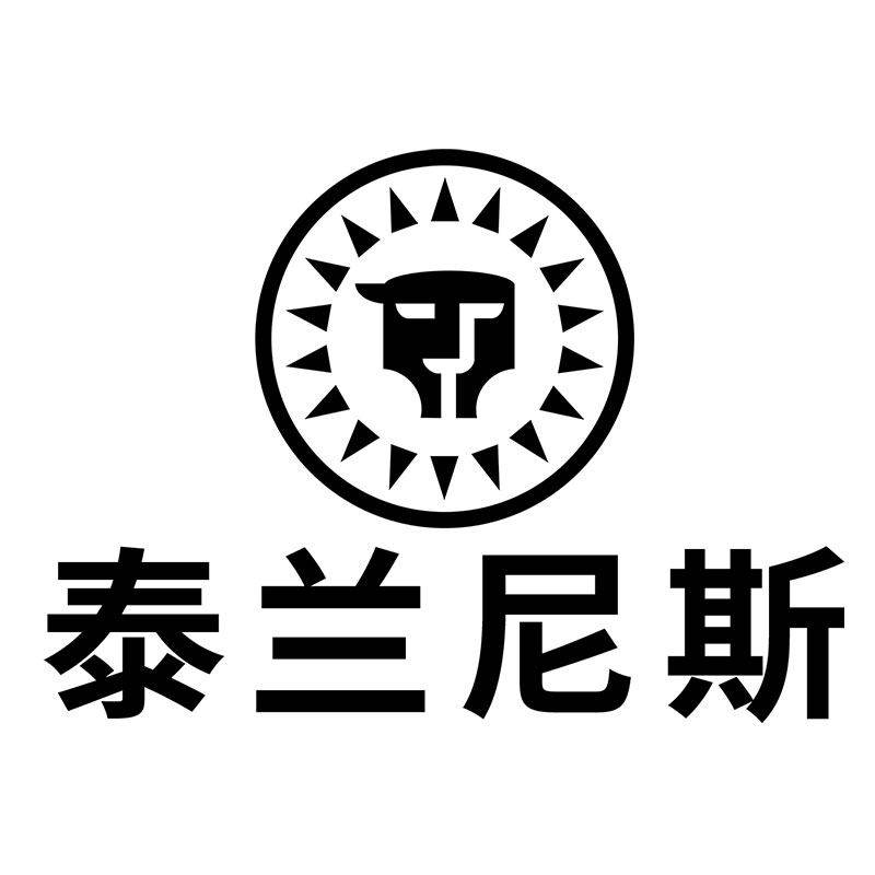 泰兰尼斯稳稳鞋旗舰店