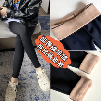 Shark pants leggings womens autumn and winter velvet high-waisted Barbie pants wear thickened tight closed belly yoga plus size