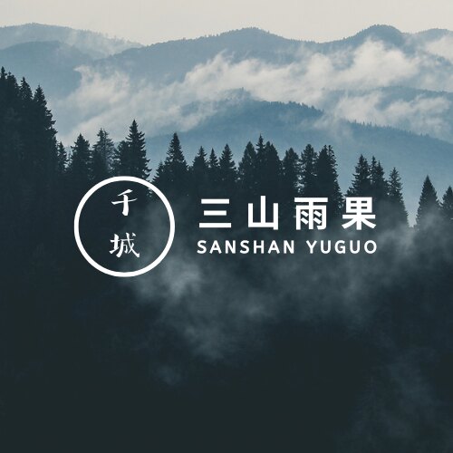 三山雨果旗舰店的LOGO