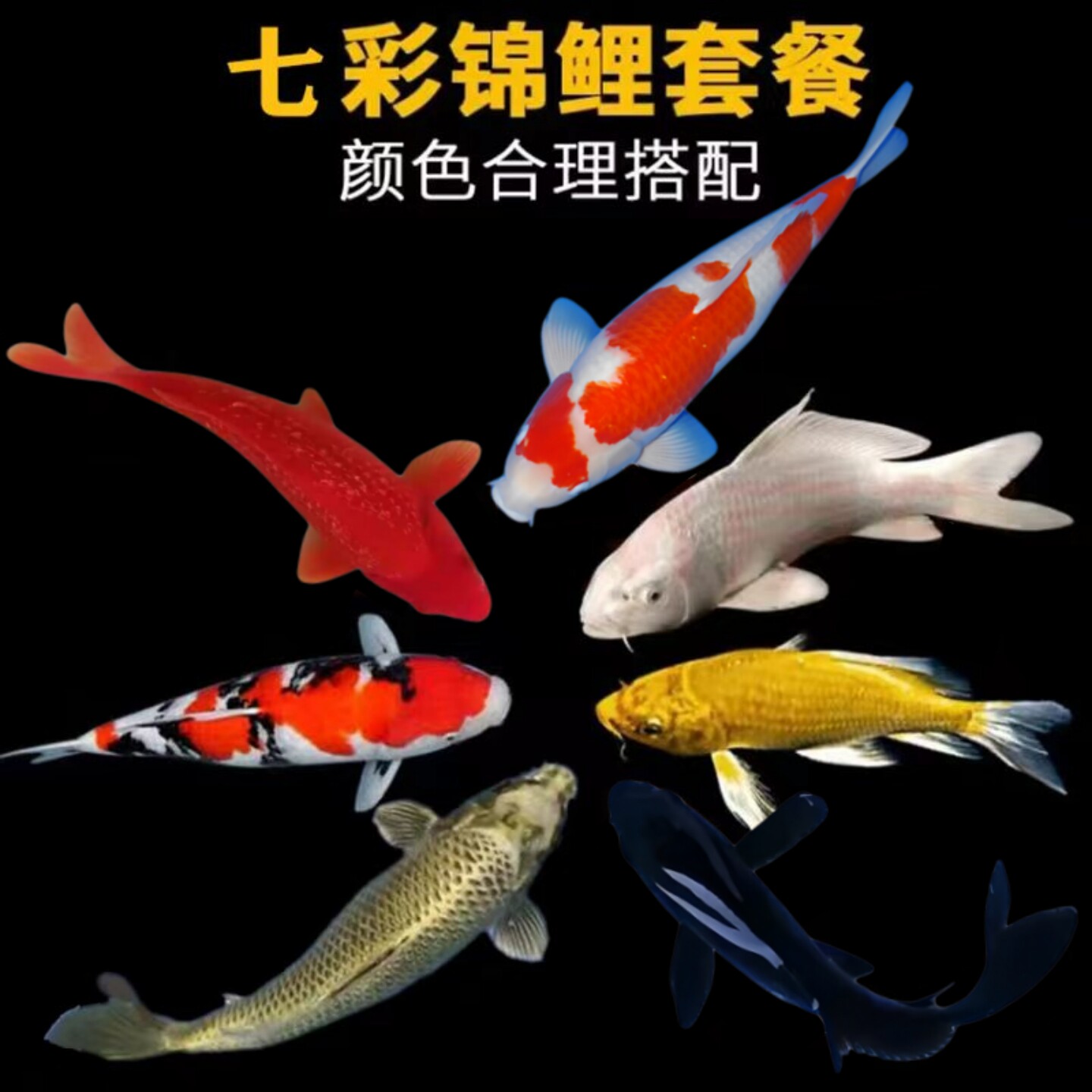 鱼你有约鱼宠馆的LOGO