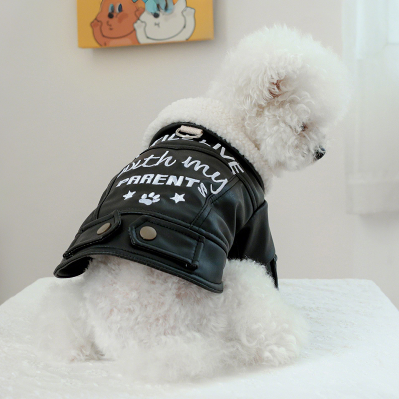 Pet Winter Thickened Leather Coat for Small Dogs, New Autumn and Winter Fleece Clothing for Bichon Frise, Teddy, Schnauzer, Winter Clothes