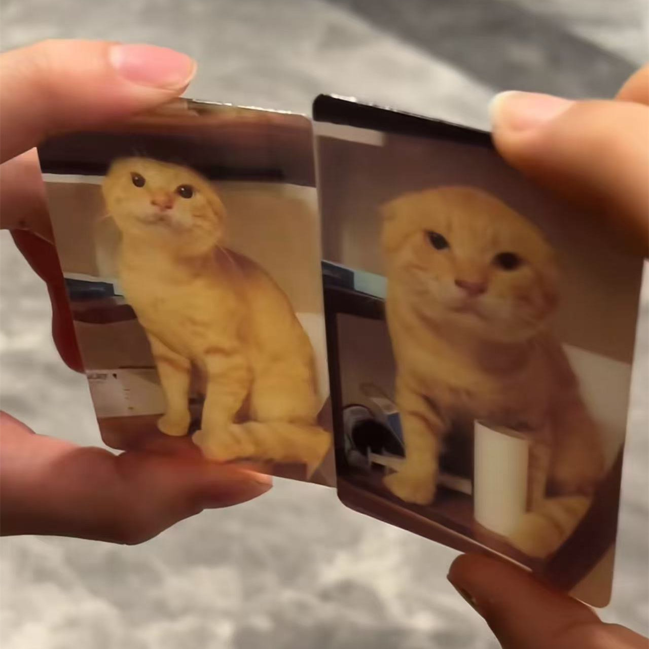 耄耋哈气猫光栅卡二变呲牙圆头猫猫明信片卡哈基米曼波搞笑小卡片_收藏卡牌_淘宝游戏网