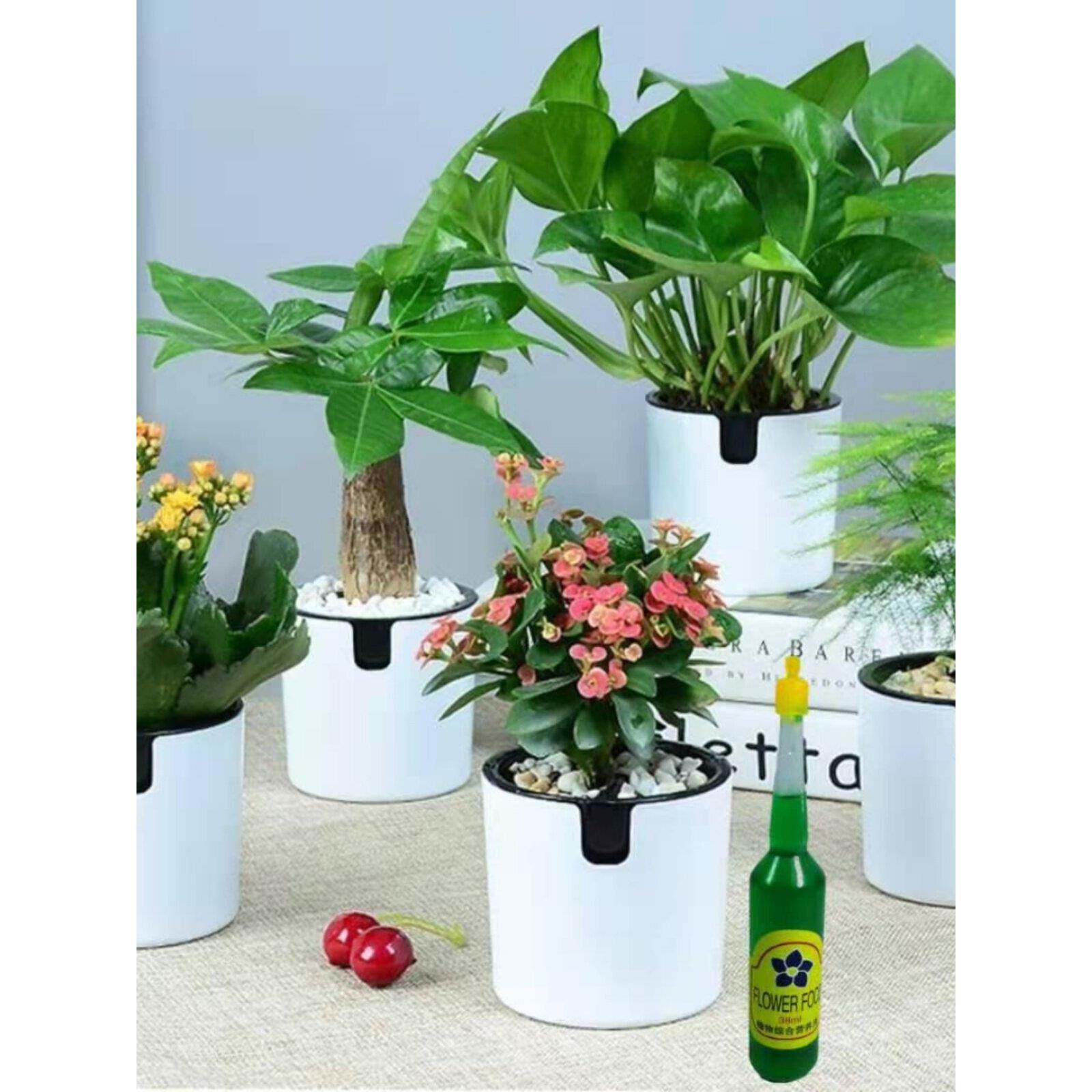 2026年植物营养液通用型怎么选？为什么花鱼共养和叶绿王成新手首选？