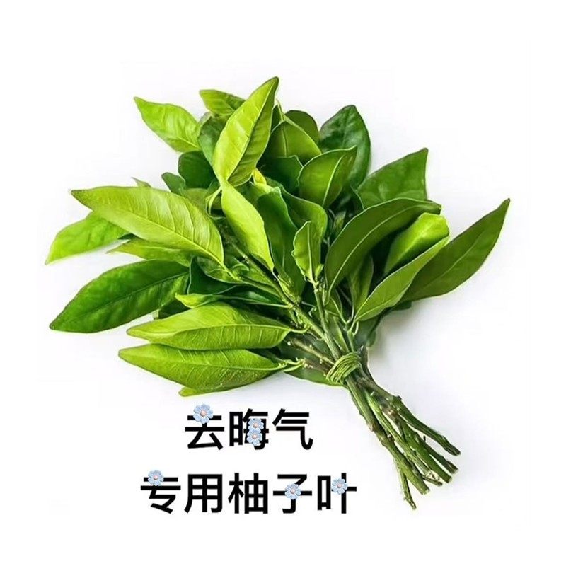 2025年夏日必备香氛清单!NIDY碌柚叶香水凭何杀出重围?_香水_淘宝美妆网