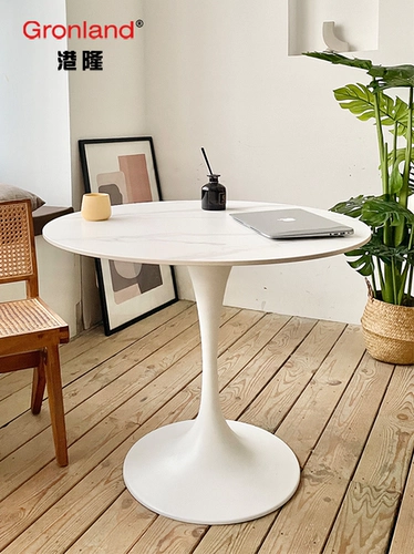 Северный тульпан ароматный скалолаза