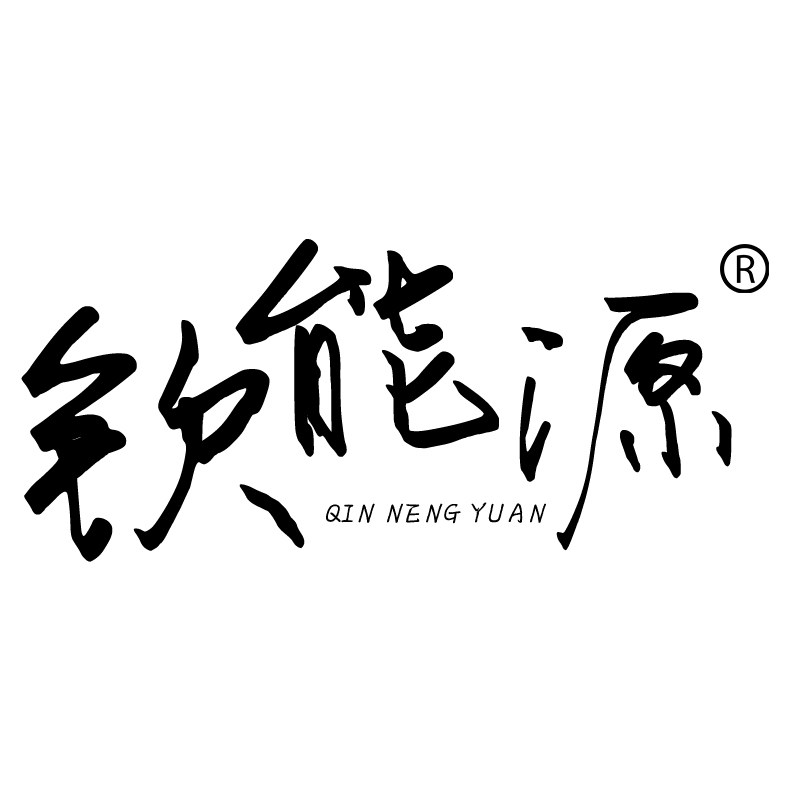 钦能源的LOGO