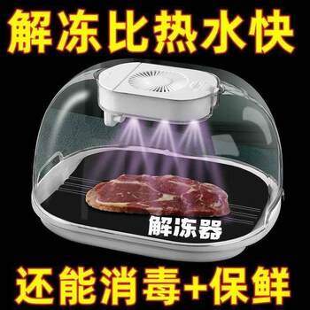 New Model of Fully Automatic Defrosting and Freezing Home Appliance with Constant Temperature for Kitchen Preservation, a Smart and Multifunctional Tool for Fast Steak Preparation