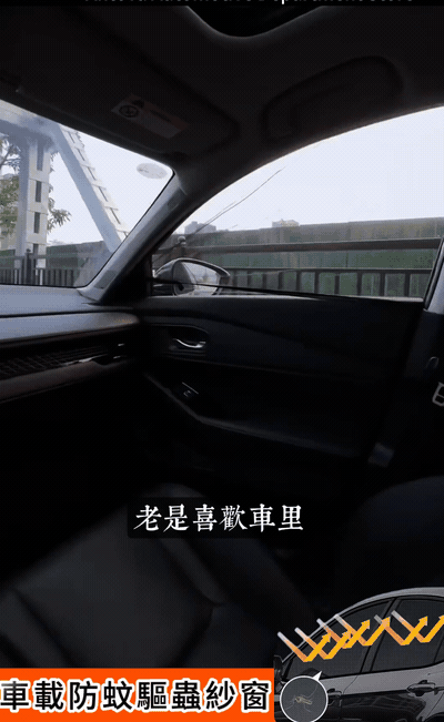 10020.gif