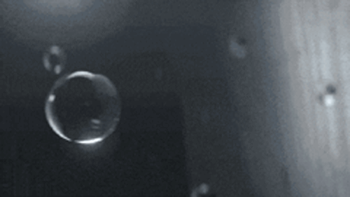 P_005.gif