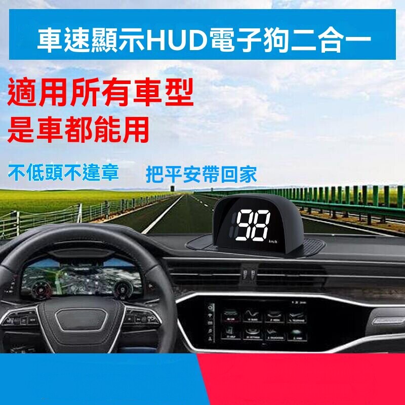 P_009.jpg