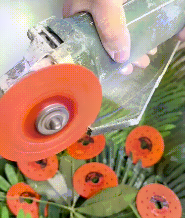 10011.gif