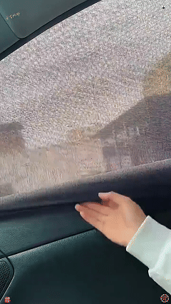 P_008.gif