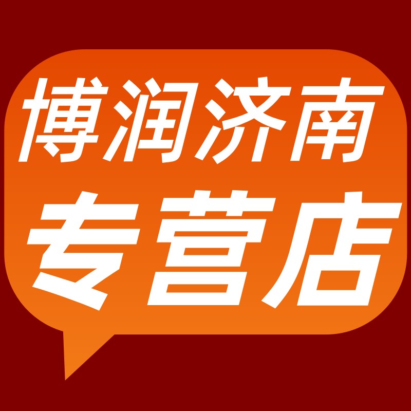 博润济南专营店的LOGO